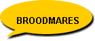 Broodmares