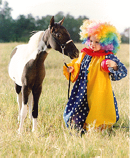 MarissaMasq.gif (57340 bytes)